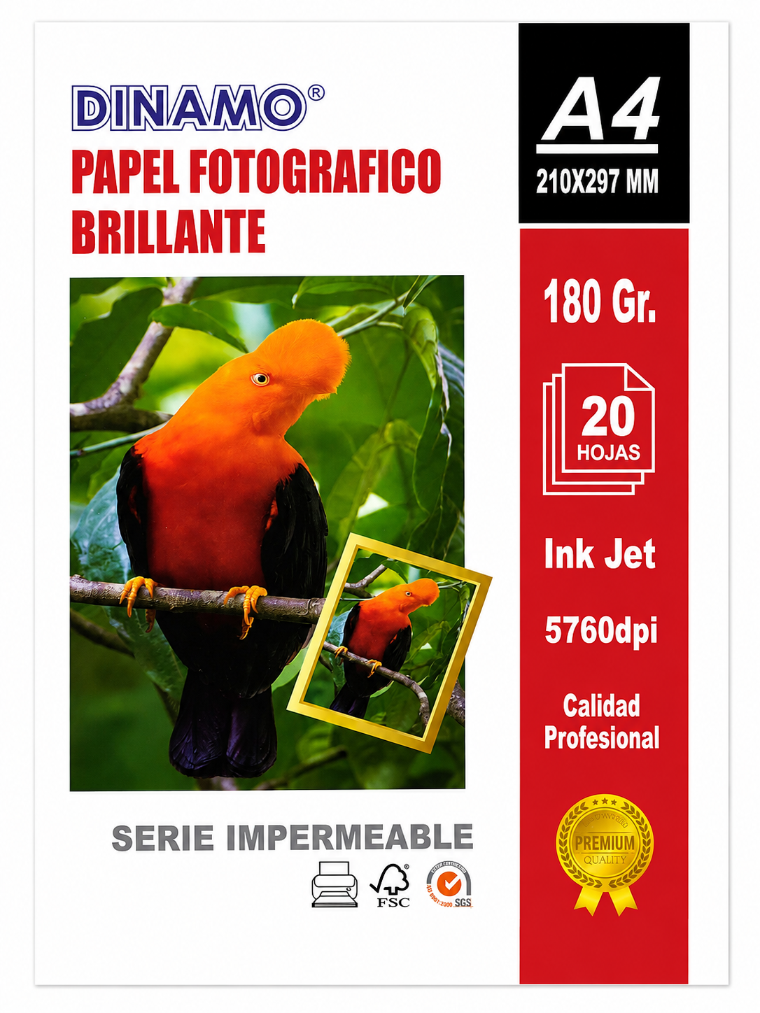 PAPEL FOTOGRAFICO BRILLANTE A4 180GR DINAMO